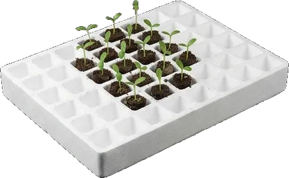 Seedling Trays