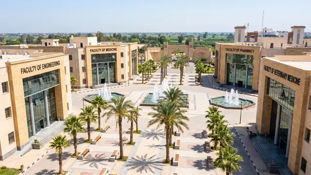جامعة كفر الشيخ
